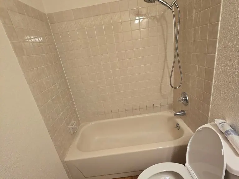 Tub-to-shower conversion, downstairs bath — Eagle River — before